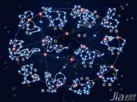 骥子龙文融资租赁（深圳）有限公司