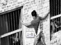 骥子龙文融资租赁（深圳）有限公司