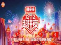骥子龙文融资租赁（深圳）有限公司