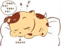 骥子龙文融资租赁（深圳）有限公司