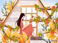 骥子龙文融资租赁（深圳）有限公司