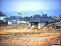 骥子龙文融资租赁（深圳）有限公司