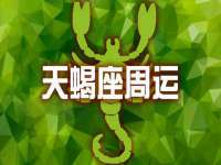 骥子龙文融资租赁（深圳）有限公司