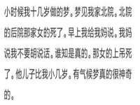 骥子龙文融资租赁（深圳）有限公司