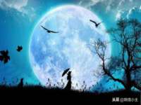骥子龙文融资租赁（深圳）有限公司
