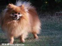 骥子龙文融资租赁（深圳）有限公司