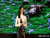 骥子龙文融资租赁（深圳）有限公司