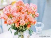 骥子龙文融资租赁（深圳）有限公司