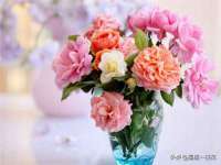 骥子龙文融资租赁（深圳）有限公司